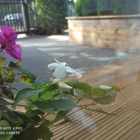 New Big Loft Apartments Jurmala With Free Secured Parking Экстерьер фото